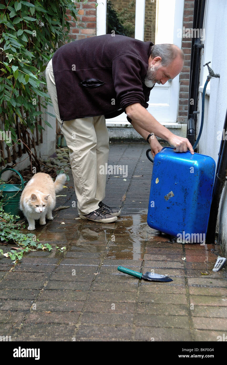 Gatto maschio sitter pulizia lettiera di gatto al di fuori del vassoio con gatto in foto Foto Stock