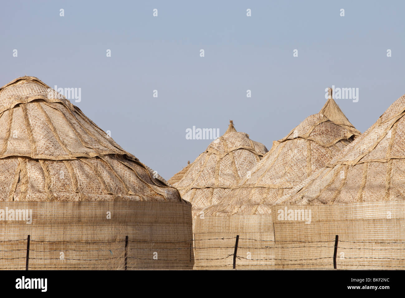 Cibo depositi nella Provincia di Heilongjiang, Cina settentrionale Foto Stock