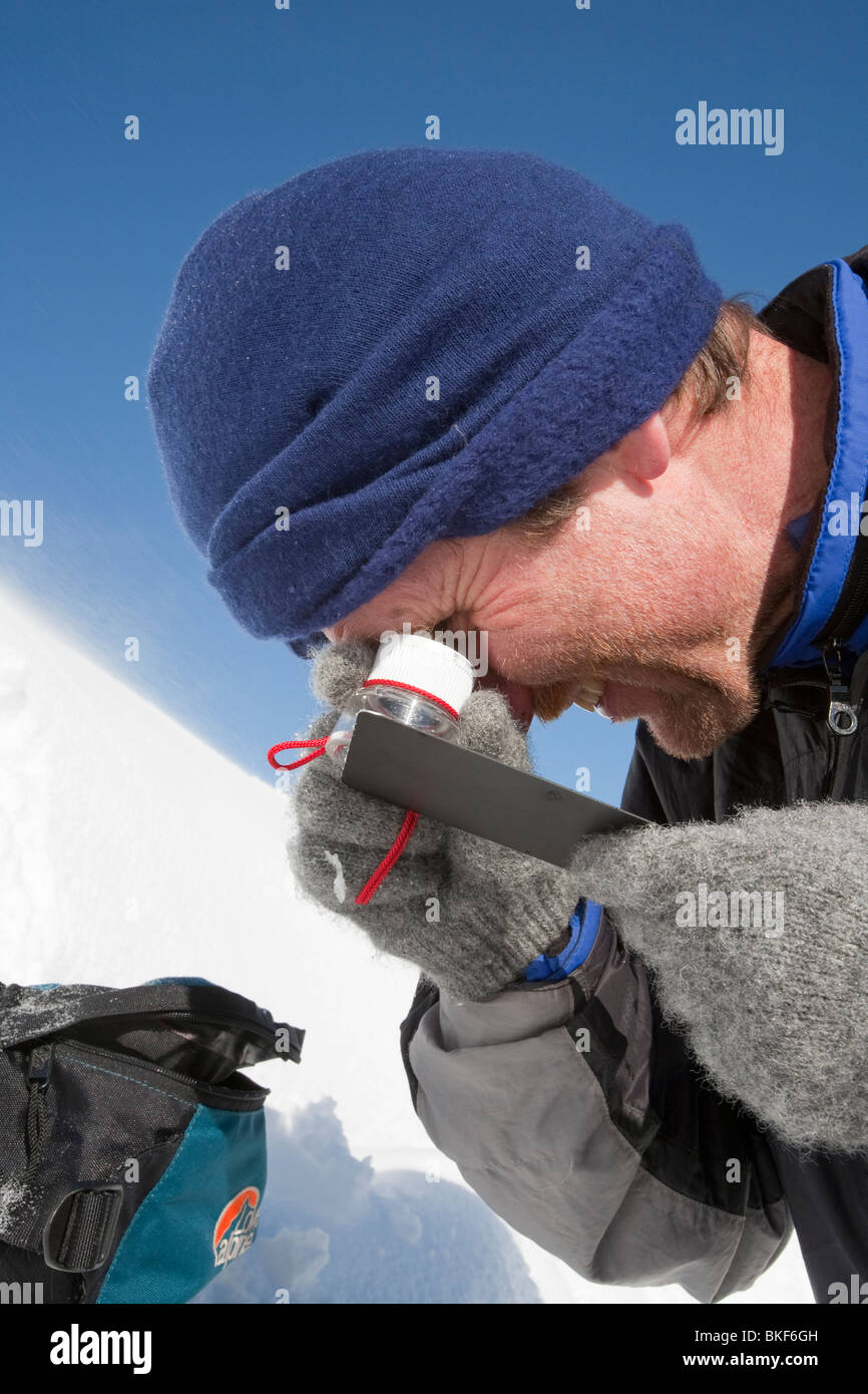 Un membro della Scottish Servizio Valanghe guarda a cristalli di neve per contribuire a valutare il rischio di valanghe in Cairngorm Foto Stock