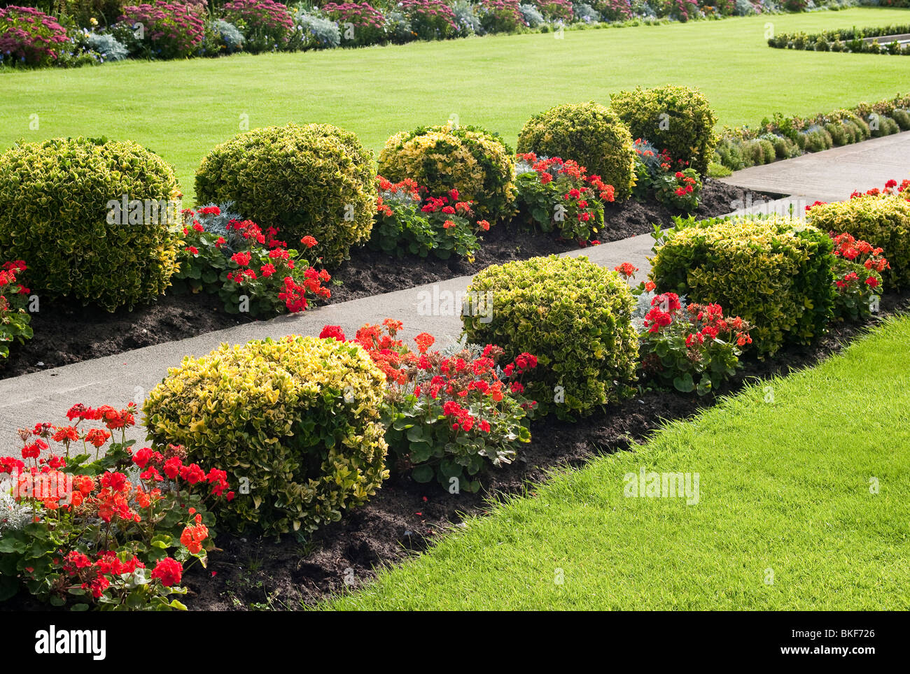 Interessante alternata schema impianto fiancheggianti un sentiero in una città giardino Foto Stock