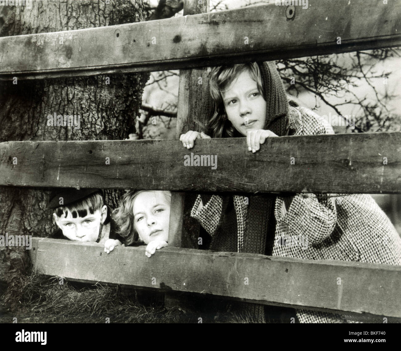 WHISTLE giù il vento (1961) ALAN BARNES, DIANE HOLGATE, HAYLEY MILLS WDW 004P Foto Stock