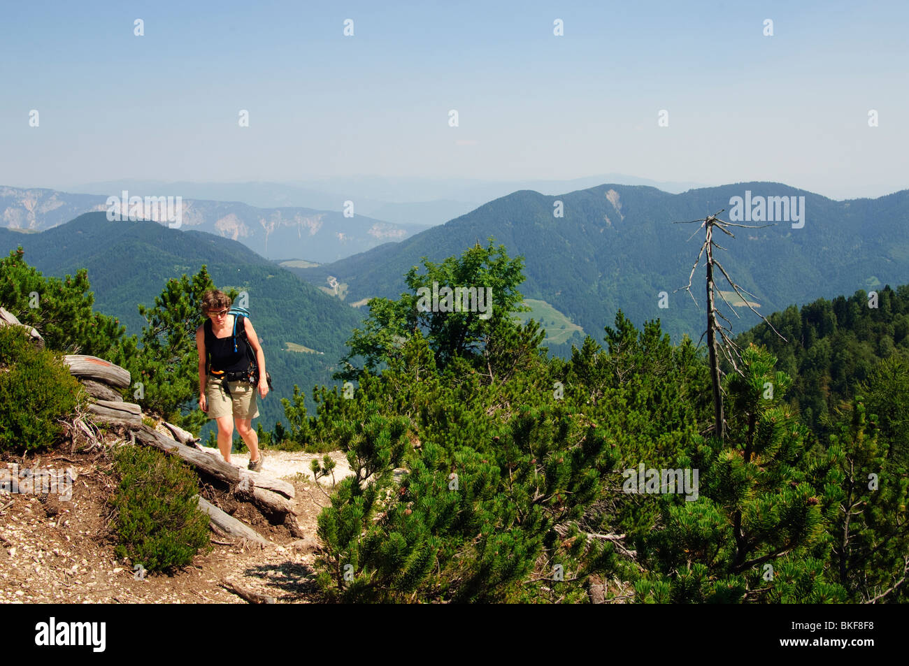 Escursionista sulla cresta sopra Kranjska Gora, Slovenia Foto Stock