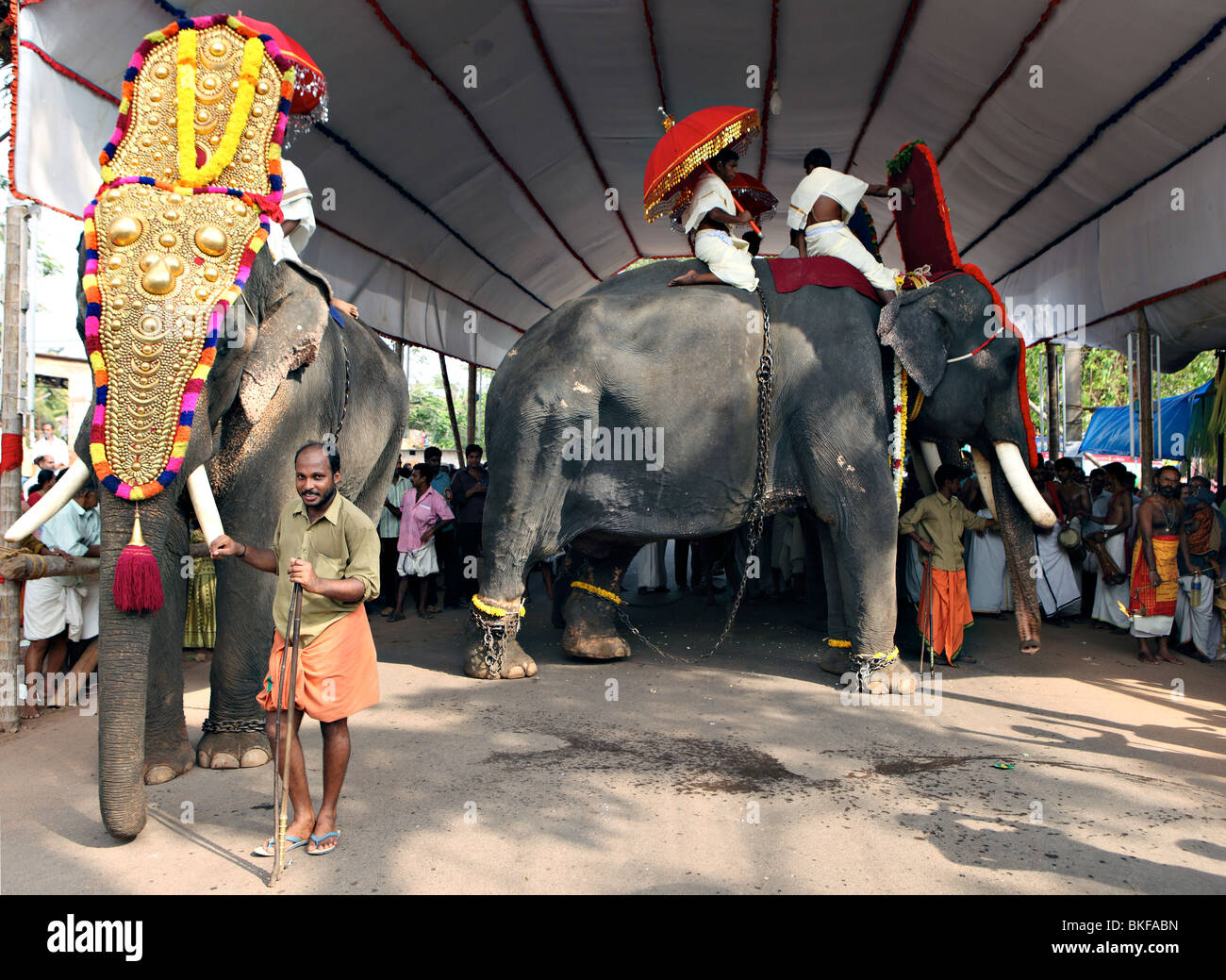 Un elefante caparisoned conduce la processione fuori da sotto una tettoia durante il festival a un tempio indù di Varkala Kerala Foto Stock