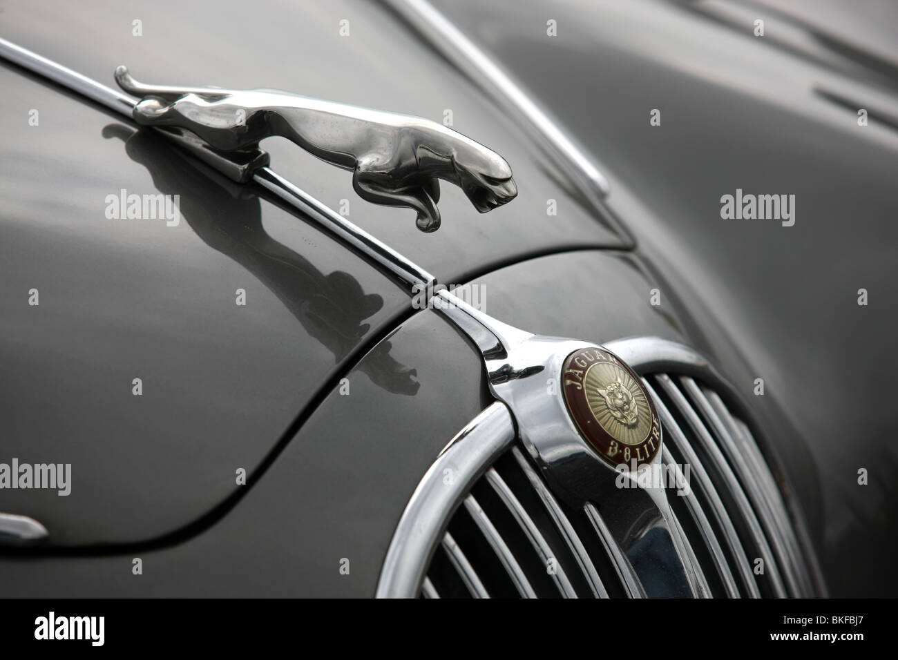 Jaguar badge, auto d'epoca Foto Stock