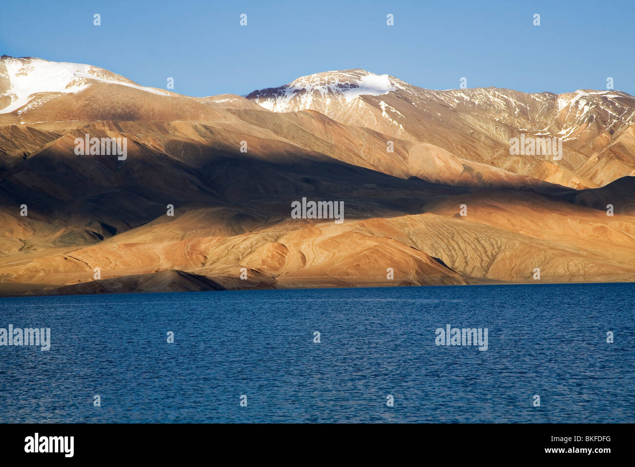 La funzionalità TSO Moriri, alta altitudine lago salmastra nel Changthang plateau del Ladakh. Jammu e Kashmir in India. Foto Stock