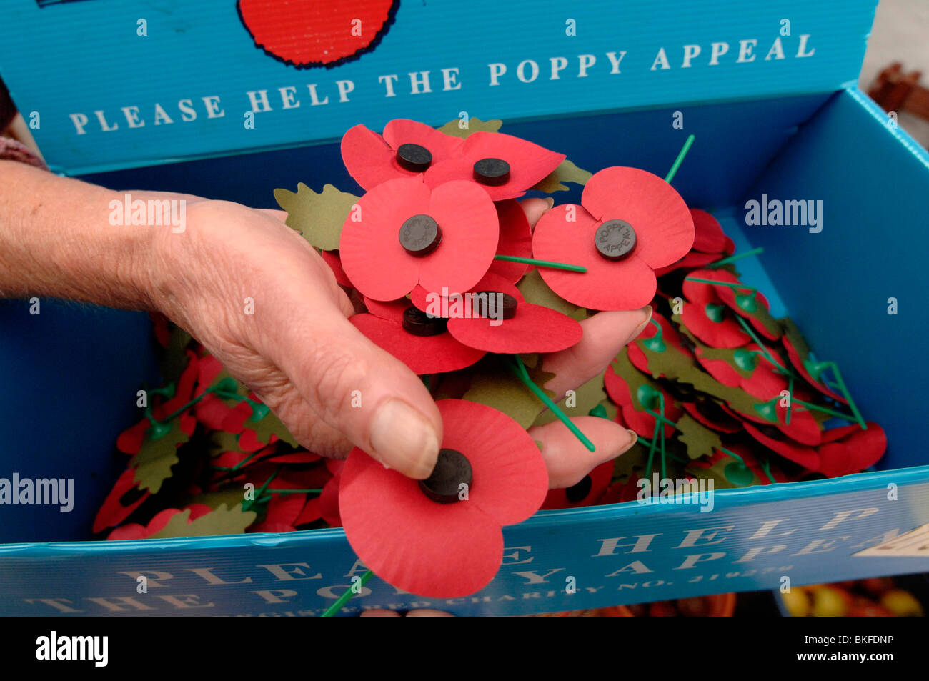 Papaveri rossi essendo distribuito dalla British Legion in testa fino al giorno dell'Armistizio, Regno Unito Foto Stock