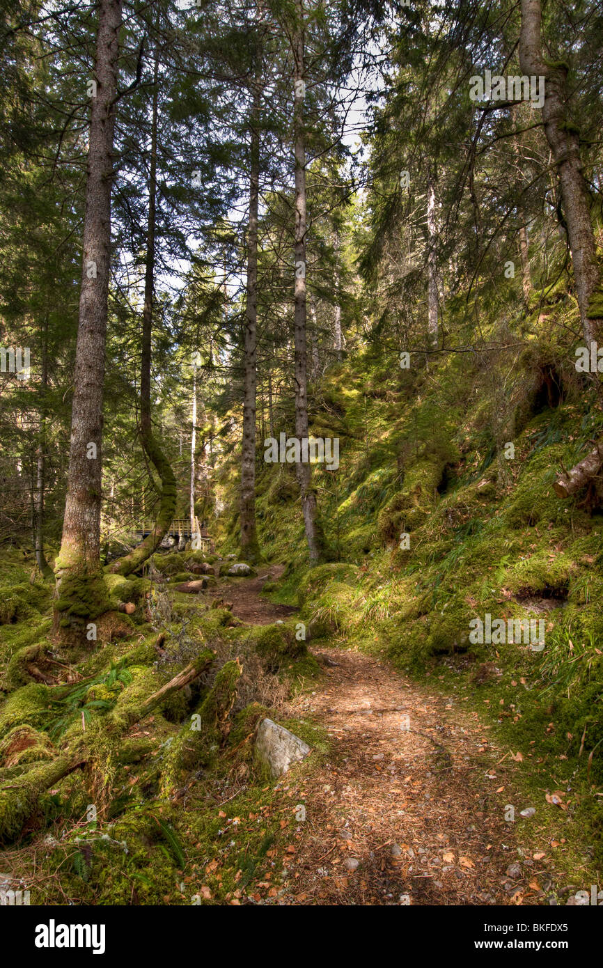 Percorso del bosco a corvi rock gorge, vicino a Lairg, Sutherland, Scozia Foto Stock