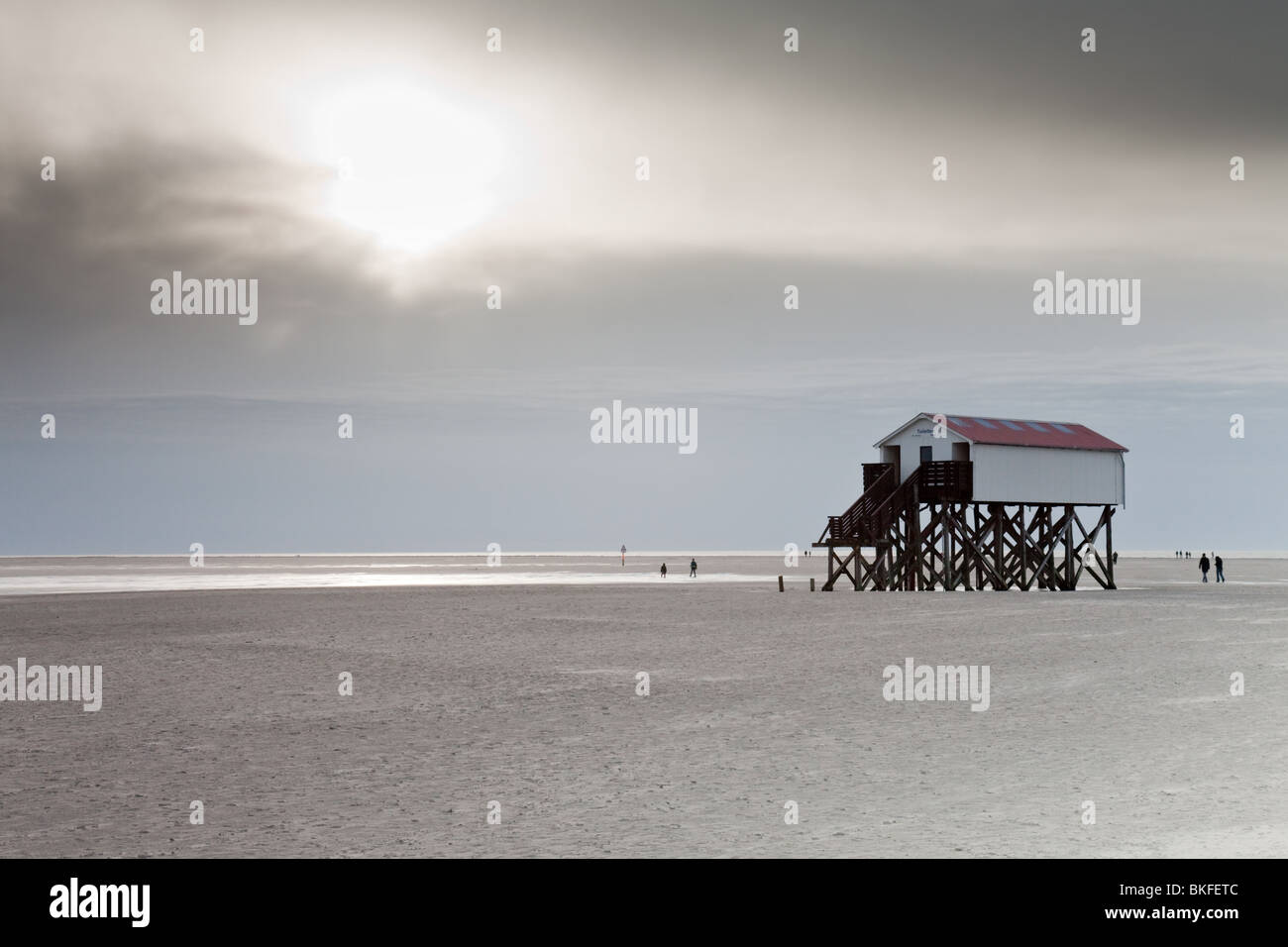 Capanna su palafitte in estuario del mare del Nord in St.Peter-Ording, Germania Foto Stock