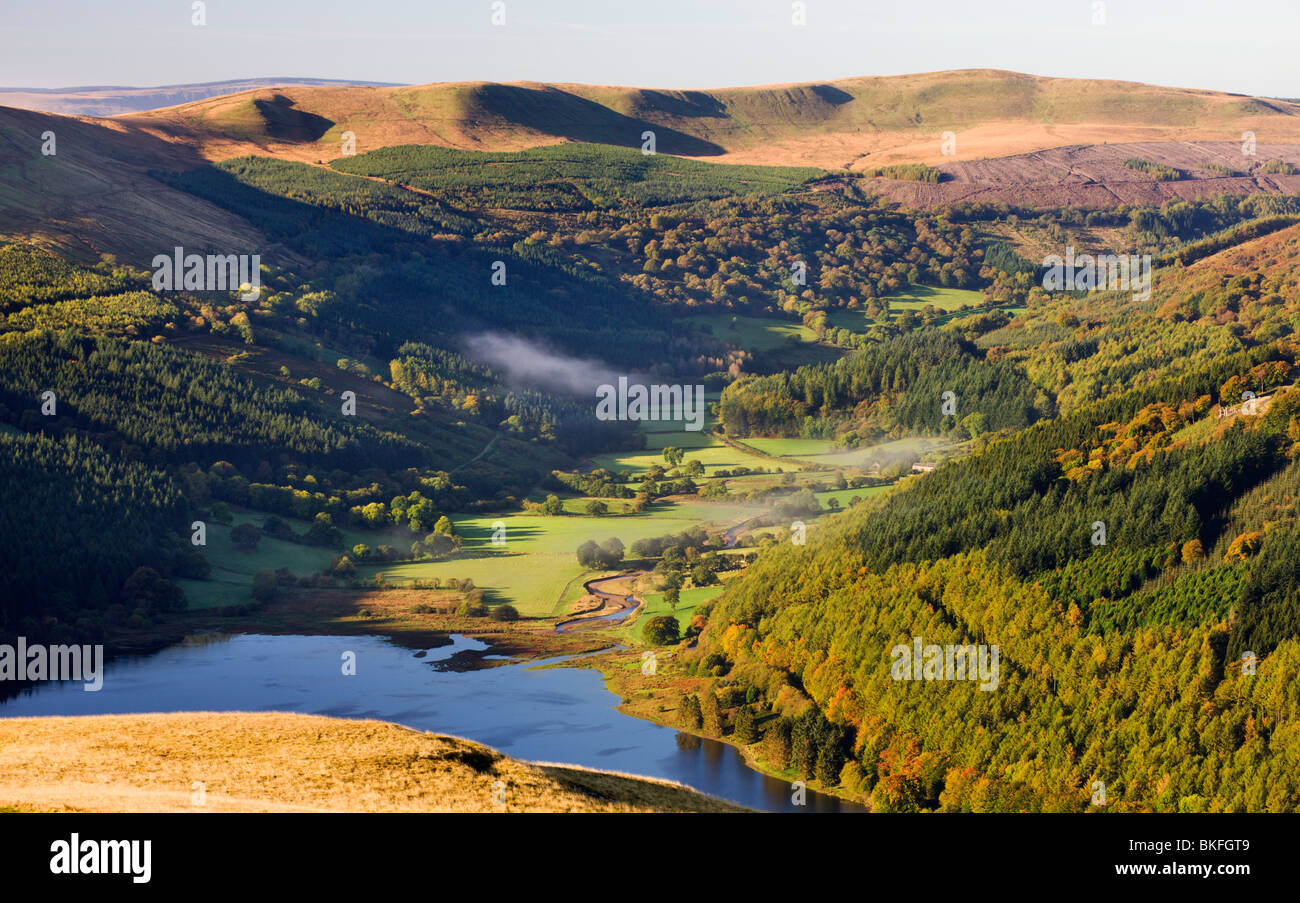 Serbatoio di Elisabetta e Glyn Collwn valle nel Parco Nazionale di Brecon Beacons, Powys, Wales, Regno Unito. In autunno (ottobre) 2009 Foto Stock