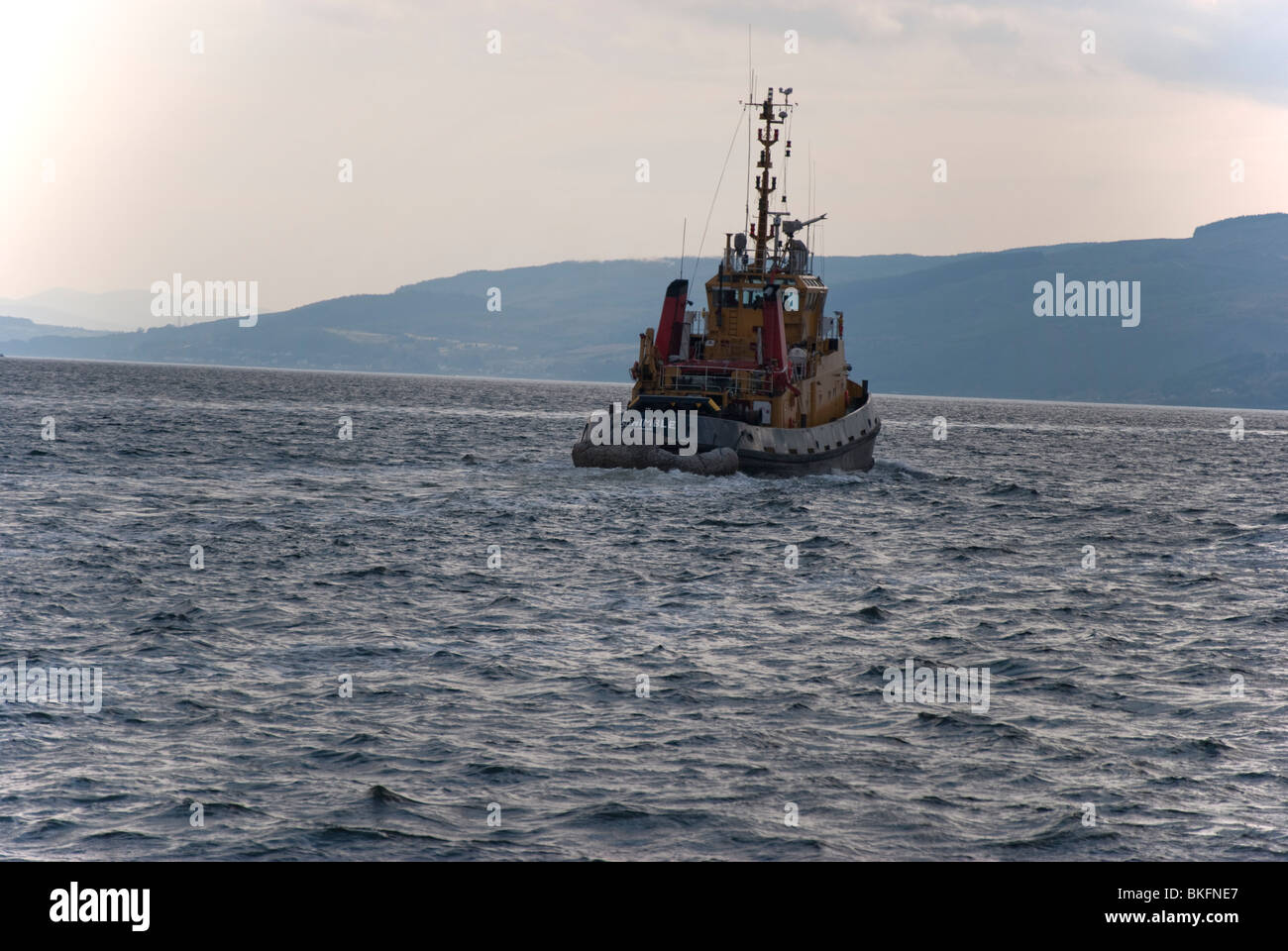 La S D Supporto agile Tug nel Firth of Clyde Gourock Scozia Scotland Foto Stock