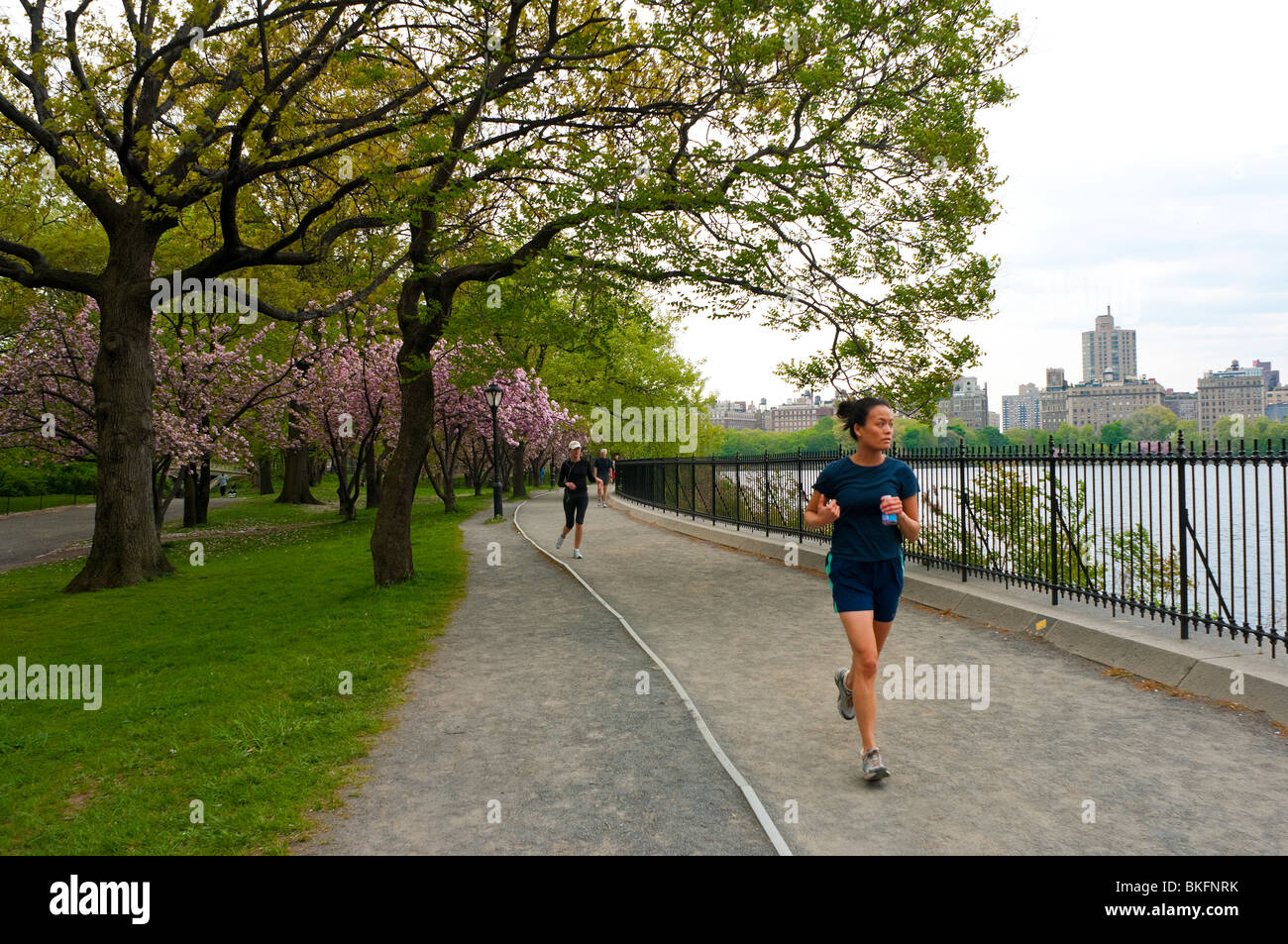 La donna in esecuzione sul 1,57 mile ( 2,5 k) sentiero che circonda il Jacqueline Kennedy Onassis serbatoio nel Central Park Foto Stock