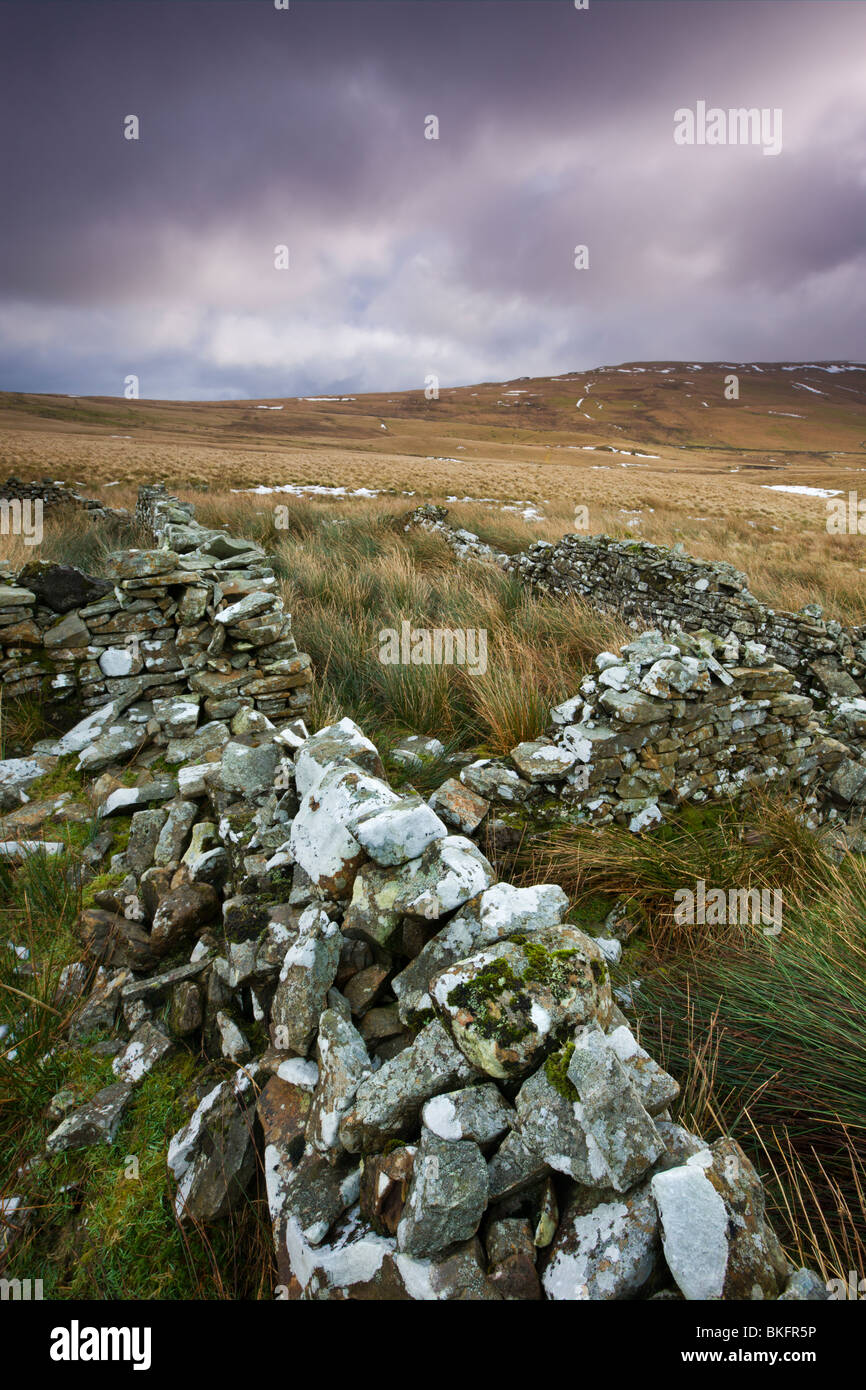 Muri in pietra a secco, Tawe Valley, Fforest Fawr, Parco Nazionale di Brecon Beacons, Powys, Wales, Regno Unito. Foto Stock