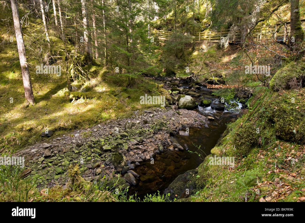 Percorso del bosco a corvi rock gorge, vicino a Lairg, Sutherland, Scozia Foto Stock