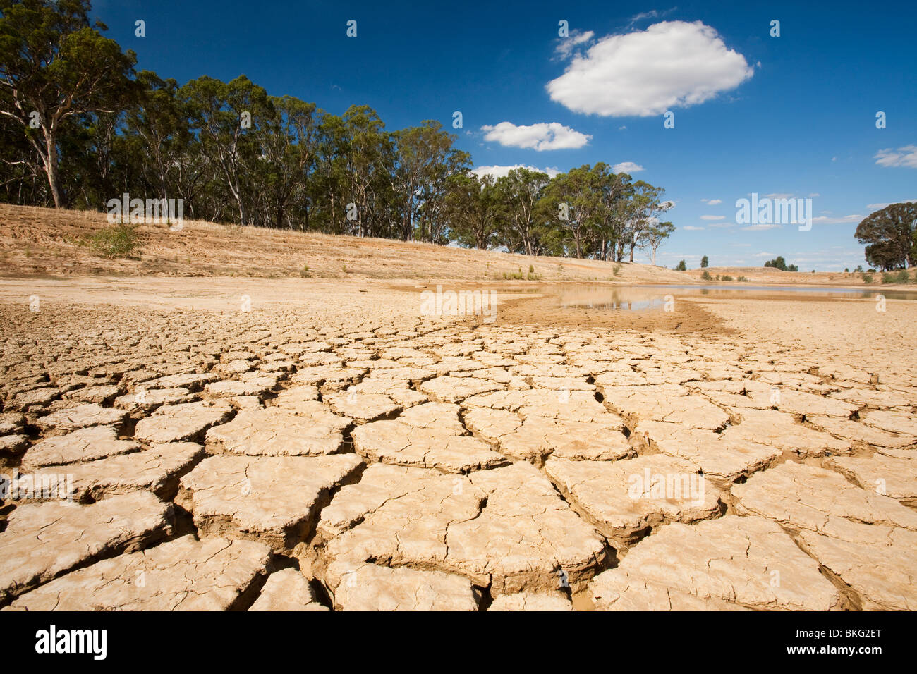 Un colpite dalla siccità Watering Hole vicino a Shepperton, Australia. Foto Stock