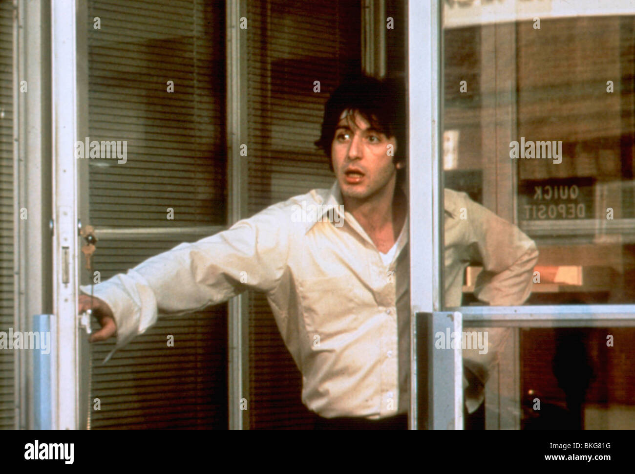 Cane giorno pomeriggio (1975) AL PACINO DDA 054 Foto Stock
