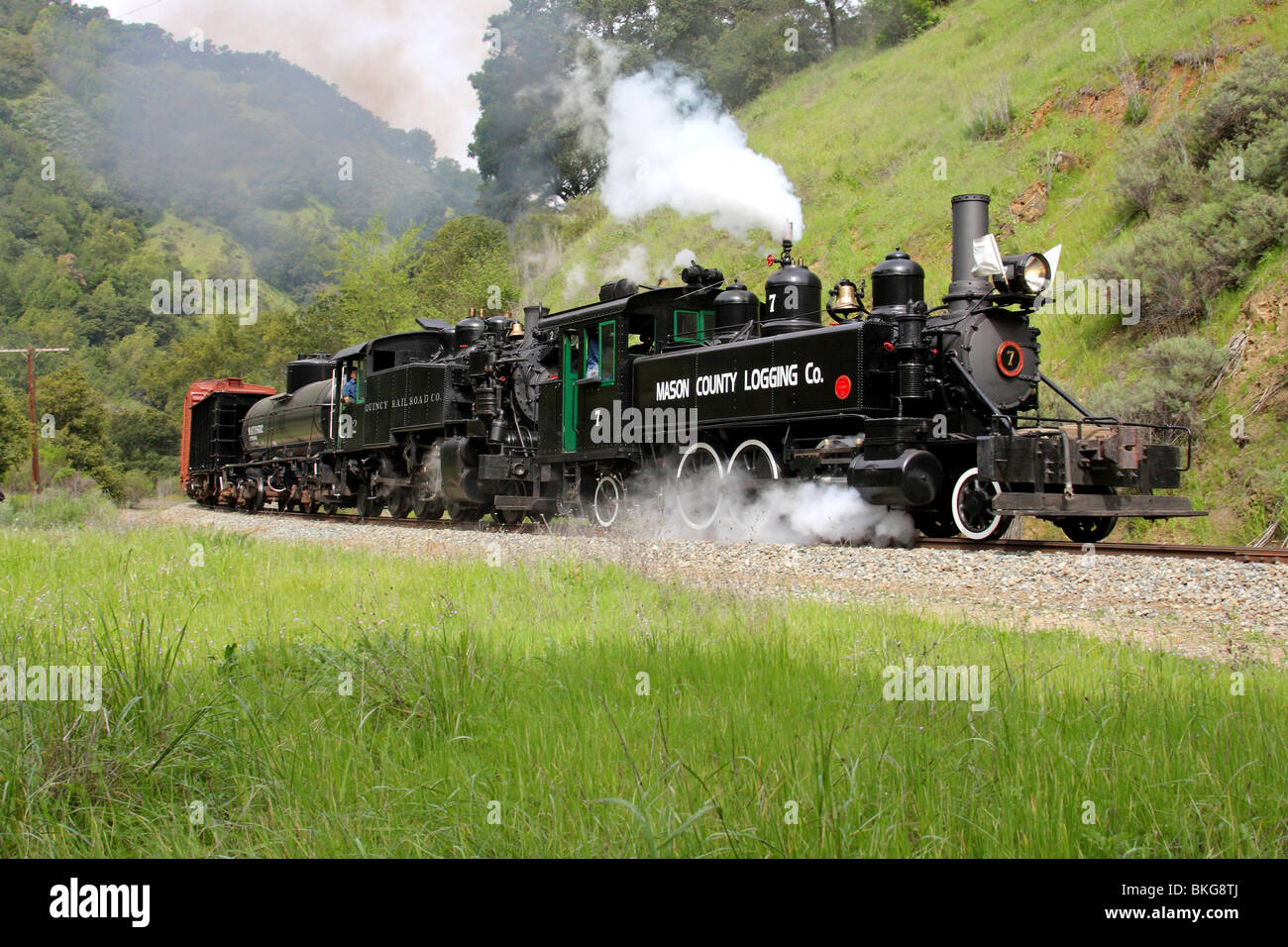 La Contea di Mason Logging #7 porta un treno merci attraverso Niles Canyon Foto Stock