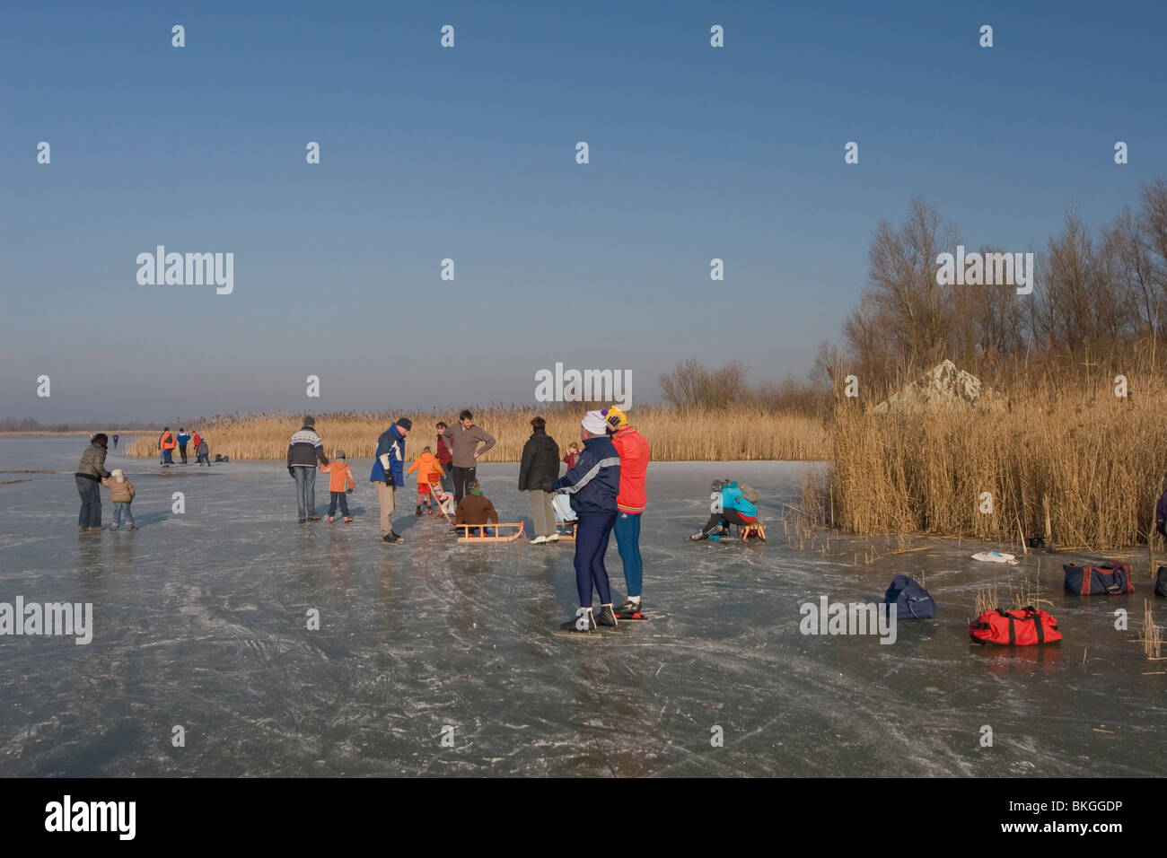 Natuurrecreatie, schaatsen op de Oostvaardersplassen, natura ricreazione, pattinaggio sul Oostvaardersplassen Foto Stock