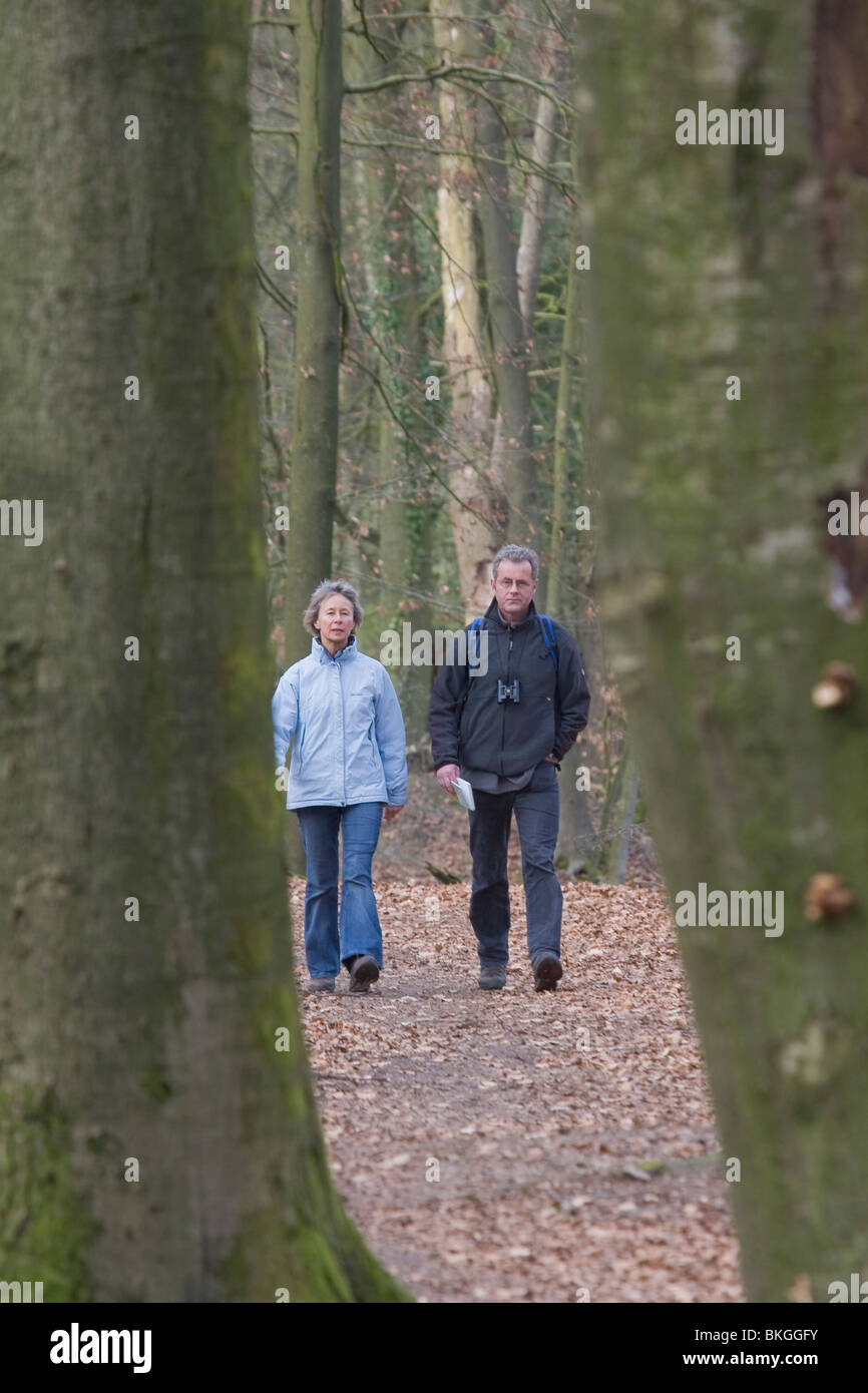 In Wandelaars de de Bekendelle volgen een wandelroute Walkers nel Bekendelle seguendo un itinerario a piedi. Foto Stock