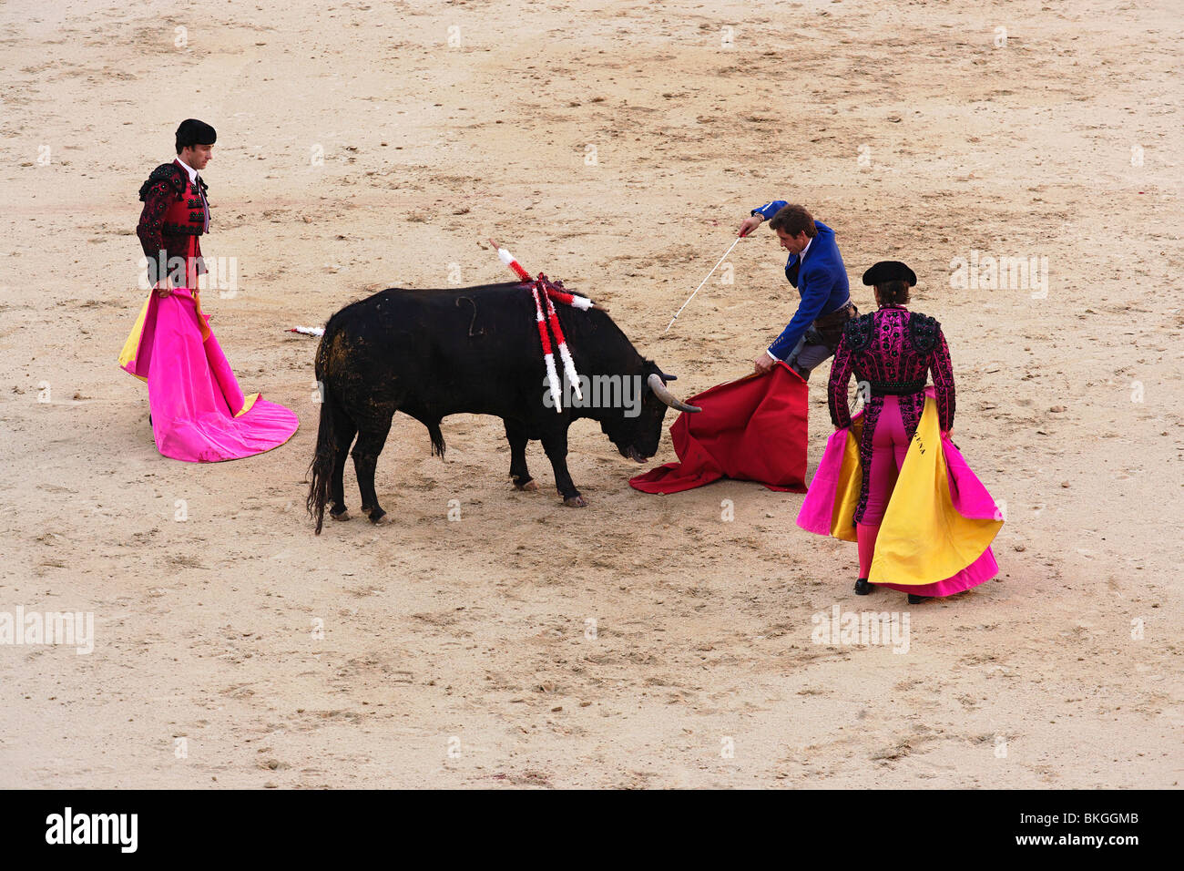 Matador uccidere un toro, corrida (CORRIDA DE TOROS), arena Las Ventas,  Madrid, Spagna Foto stock - Alamy