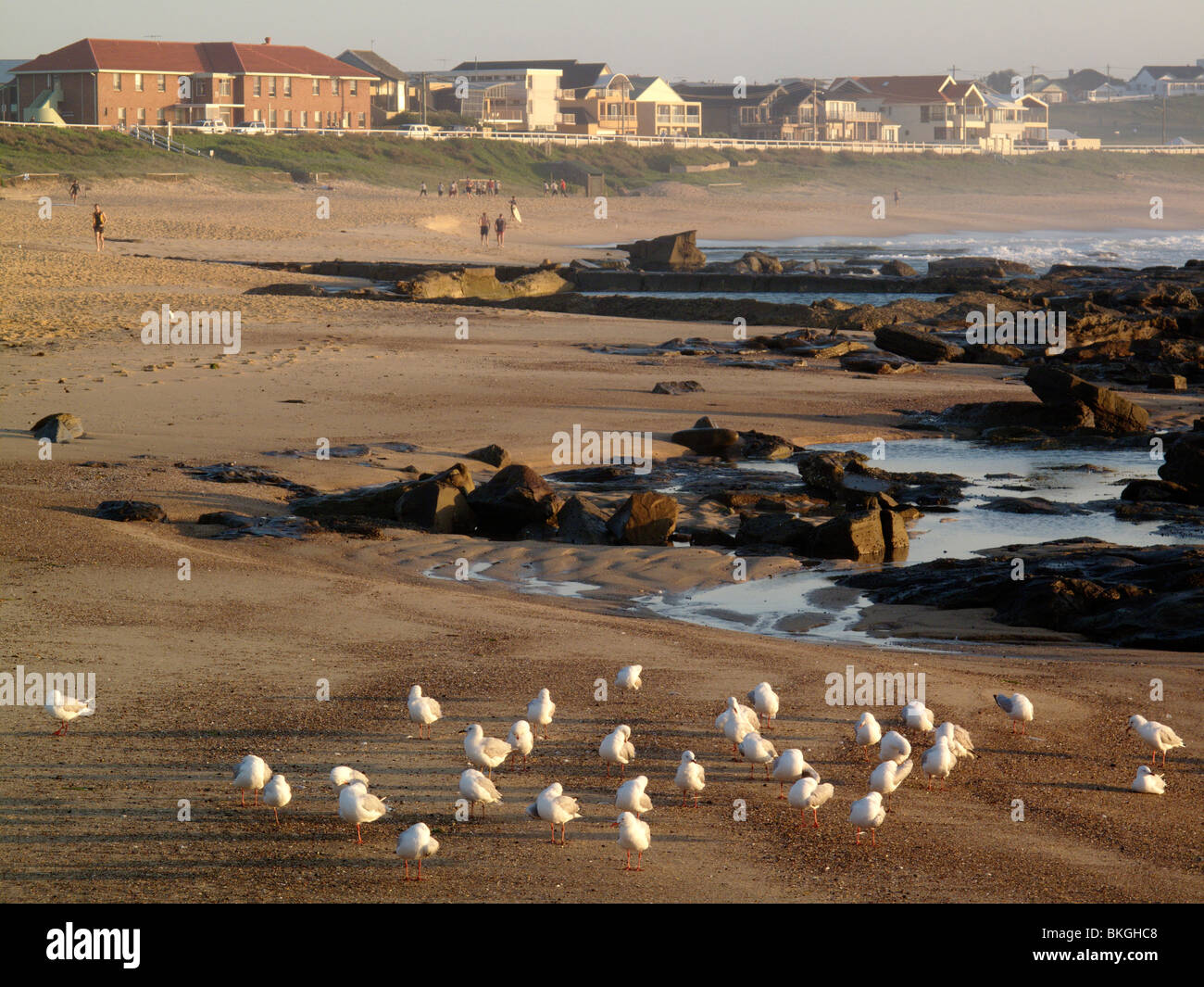 Merewether Beach in Newcastle, Nuovo Galles del Sud, Australia Foto Stock