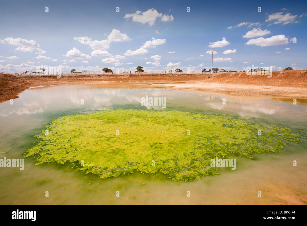 Un colpite dalla siccità Watering Hole vicino a Shepperton, Australia. Foto Stock