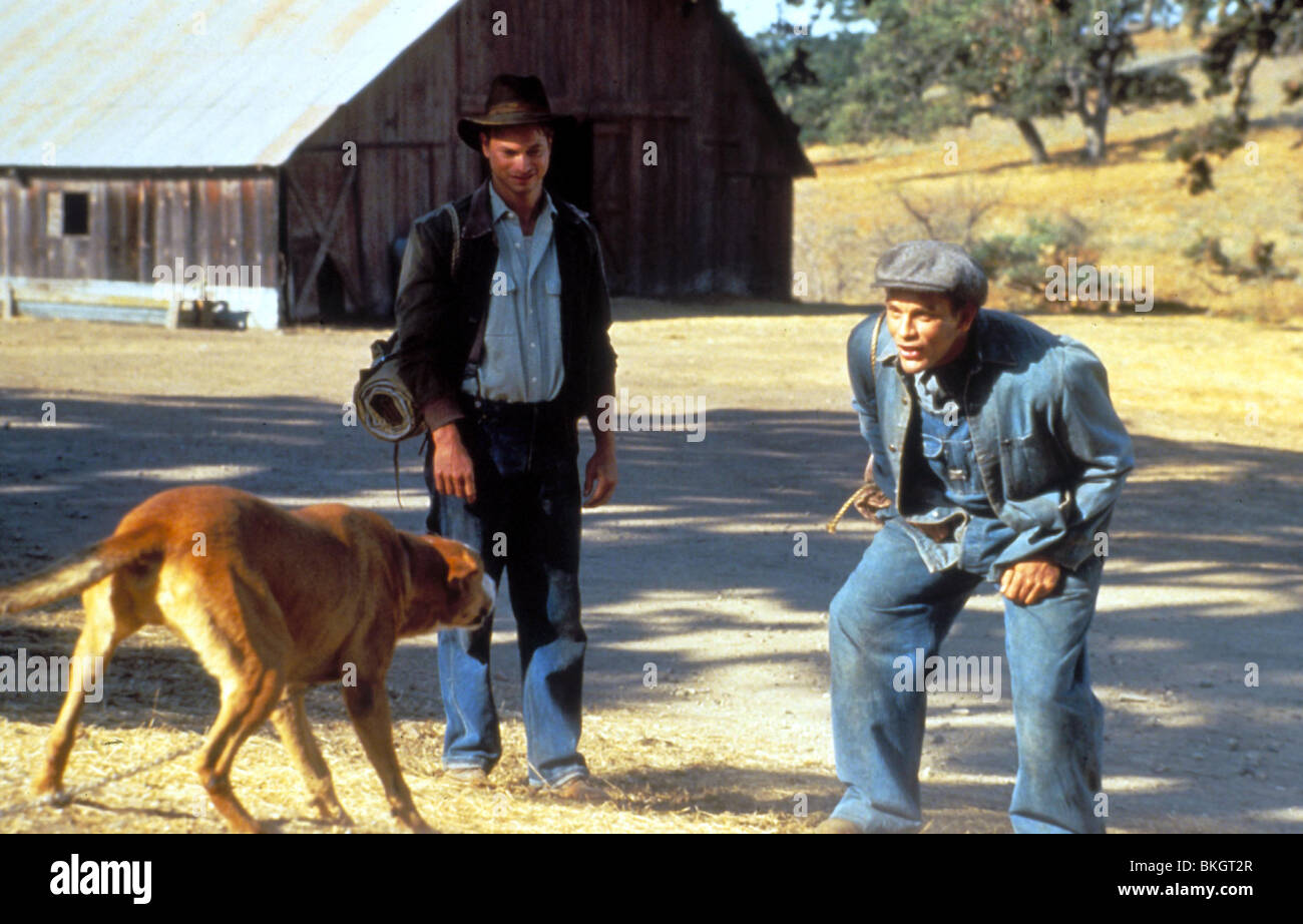 Uomini e topi (1992) Gary Sinise, John Malkovich MAM 040 Foto Stock