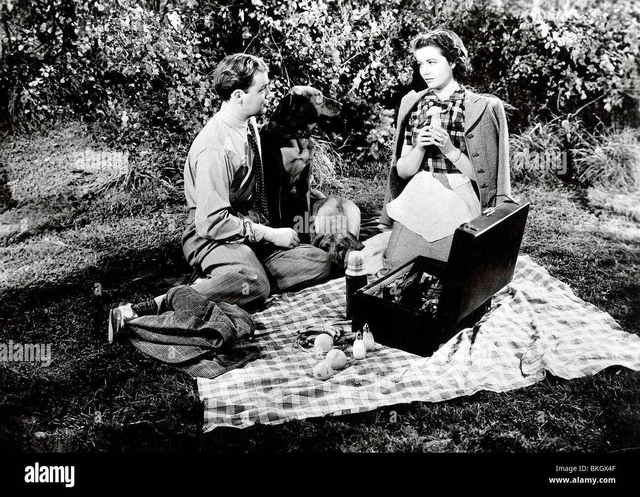 Nozze tranquilla (1940) e Derek FARR, Margaret Lockwood QWD 001 P Foto Stock