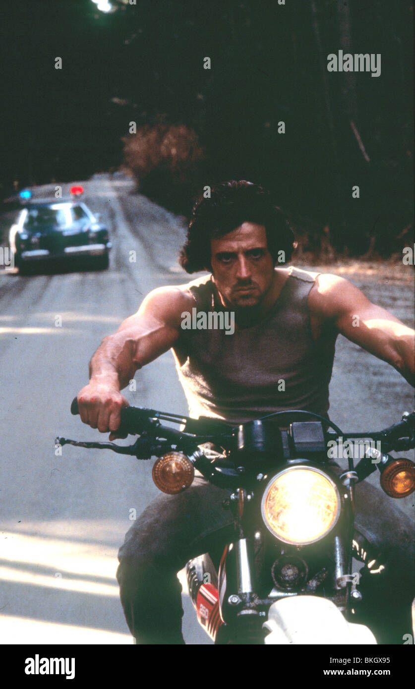 RAMBO: primo sangue (1982) Sylvester Stallone FSTB 004 L Foto Stock