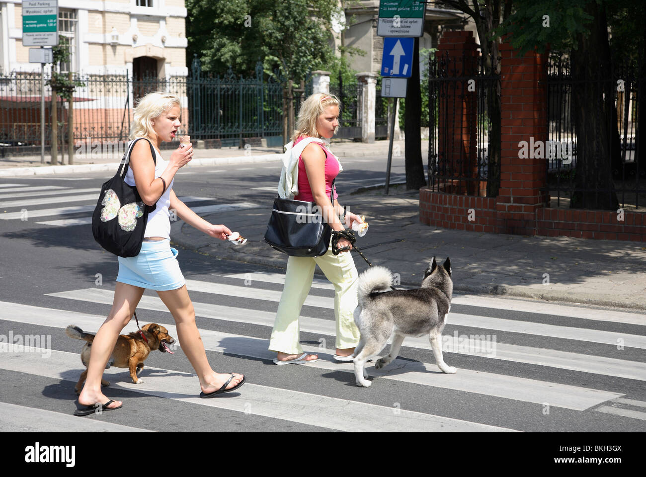 Due giovani ragazze a piedi i loro cani, Poznan, Polonia Foto Stock