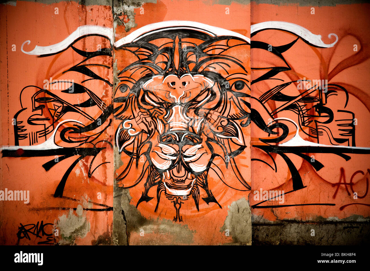 Testa di leone graffiti Foto Stock