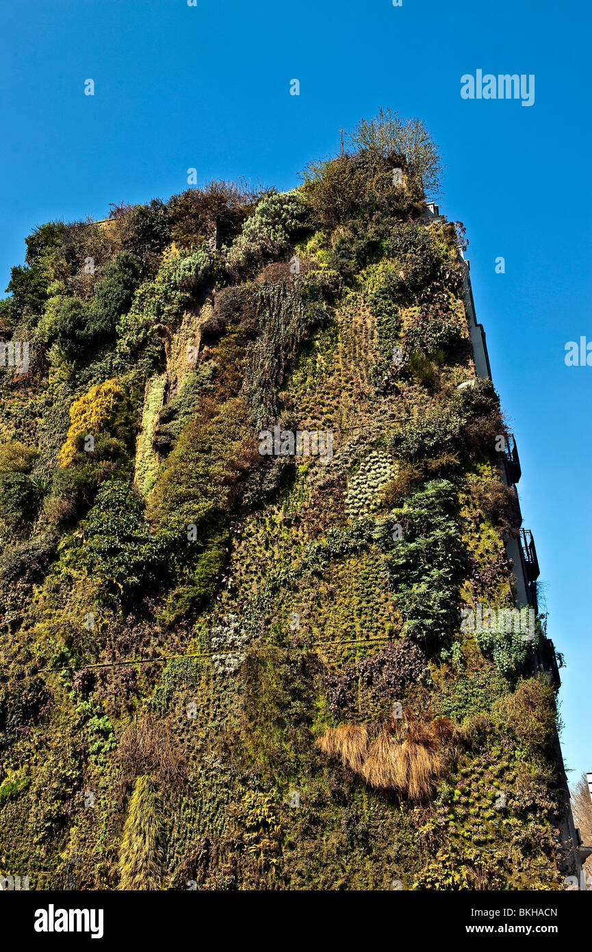 Muro vivente presso la Caixa Forum, Madrid, Spagna Foto Stock