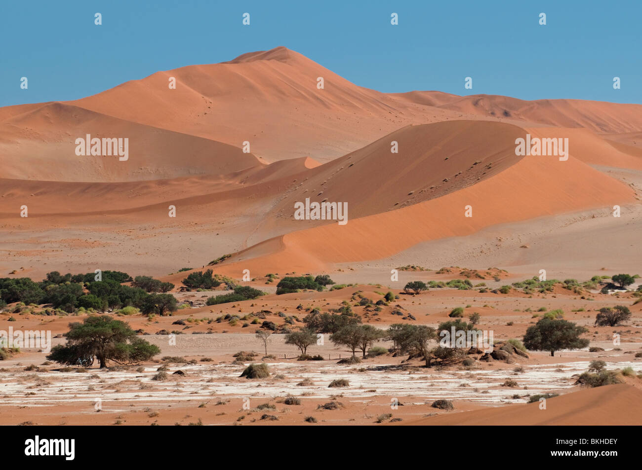 Big Mama Dune in Sossusvlei una delle dune più alte del mondo, Namibia Foto Stock