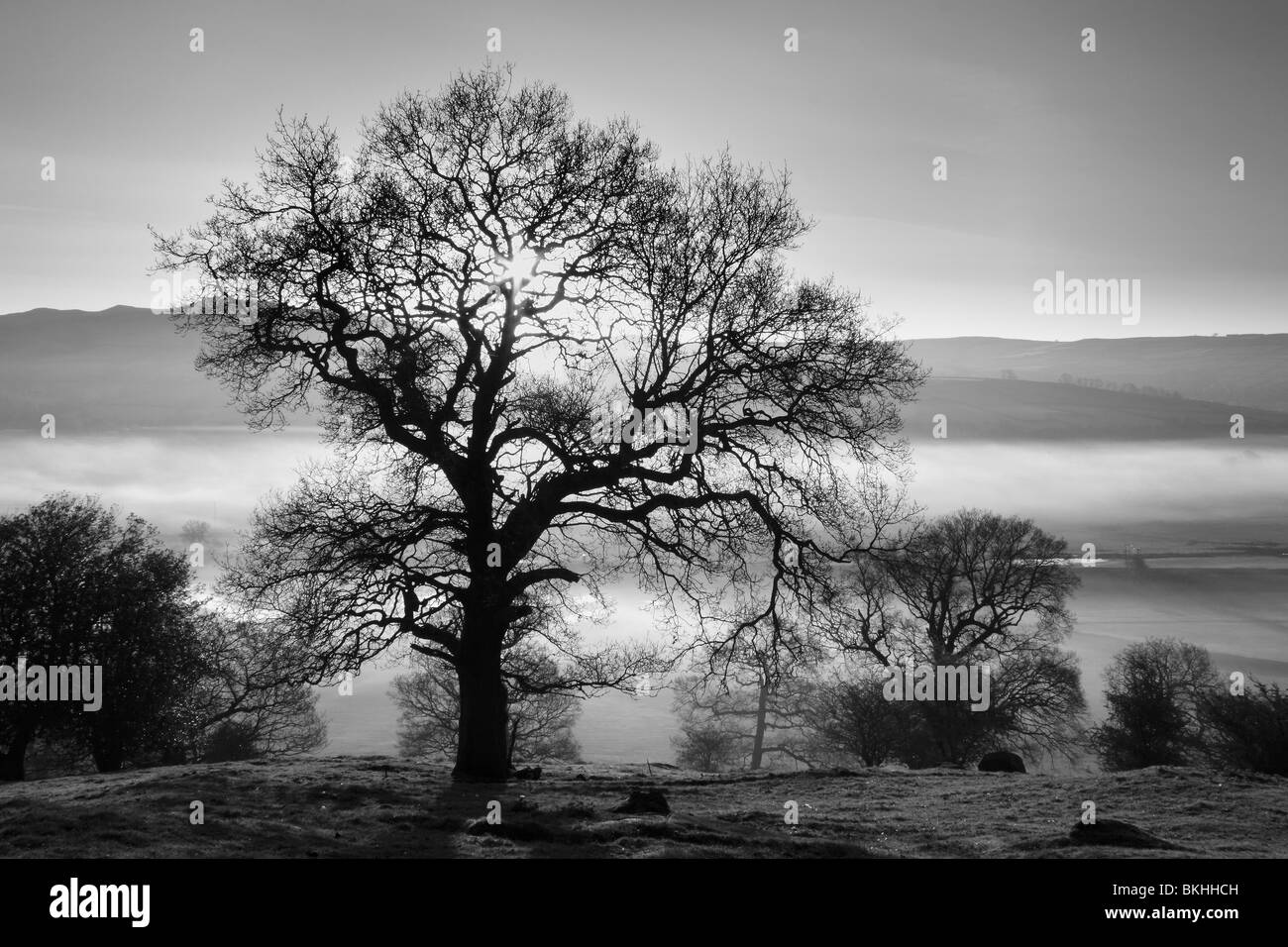 Alba vicino a Cononley nelle vicinanze Skipton, e l'Aire Valley in North Yorkshire, Inghilterra, Regno Unito Foto Stock