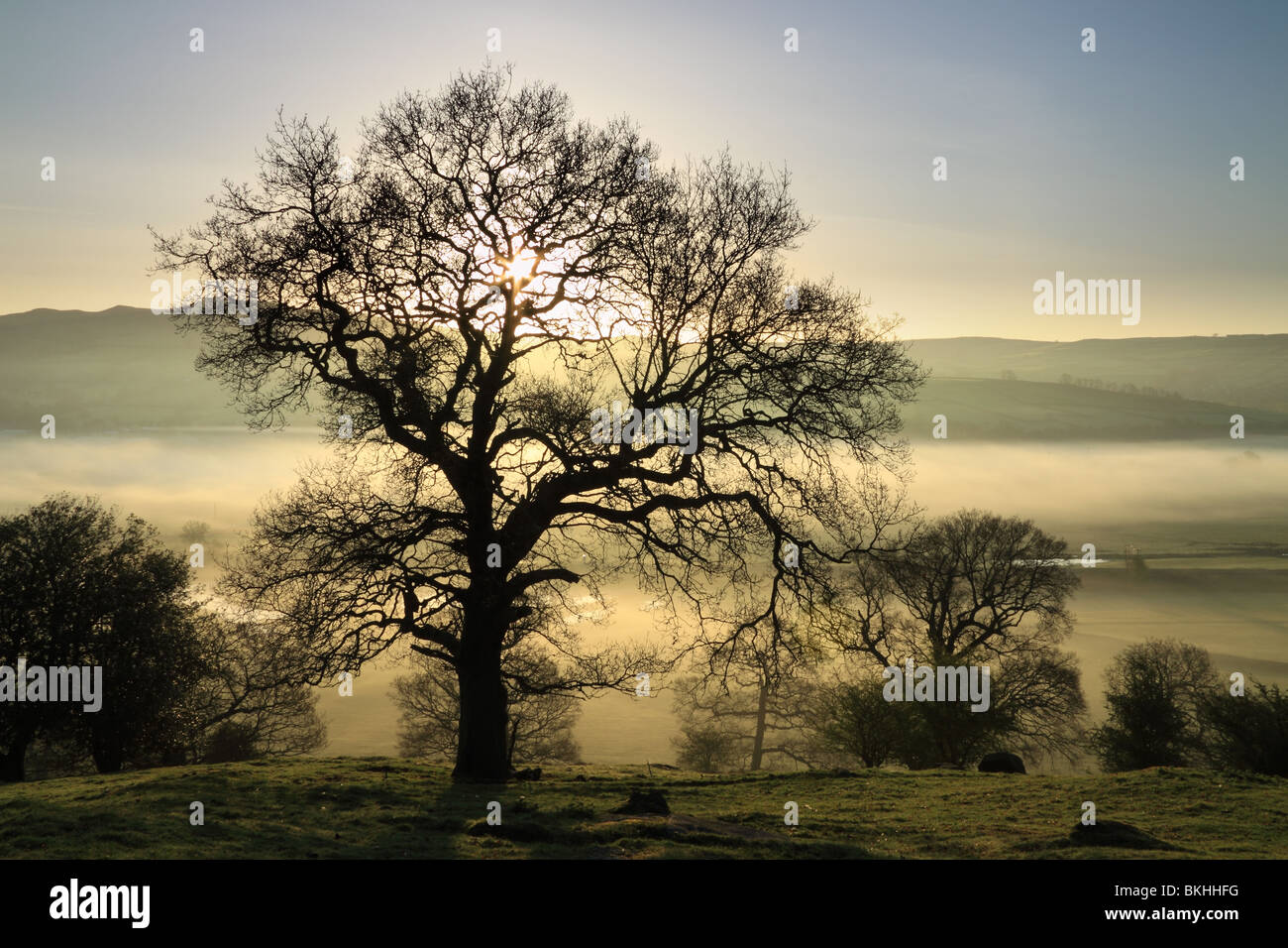 Alba vicino a Cononley nelle vicinanze Skipton, e l'Aire Valley in North Yorkshire, Inghilterra, Regno Unito Foto Stock