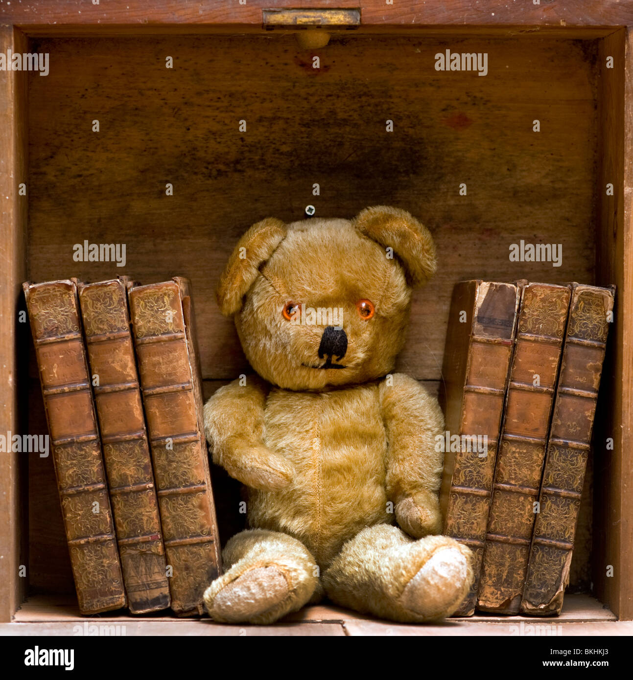 Orsacchiotto di peluche con antichi libri sullo scaffale. Foto Stock