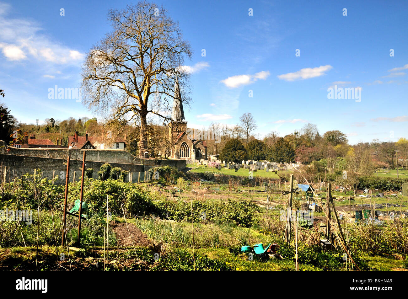 Assegnazioni, Godalming Foto Stock