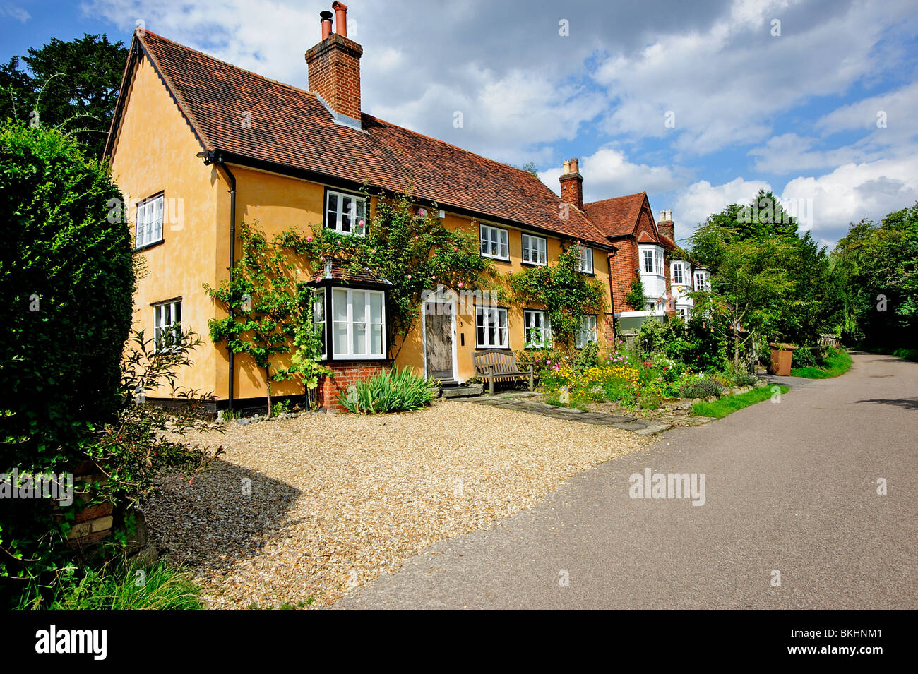 Fila di orange cottages, Benington, Herts, Regno Unito Foto Stock