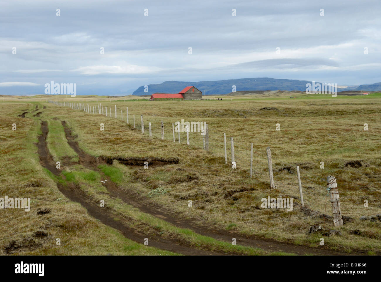 Semplice Agriturismo islandese con una via verso di essa Foto Stock