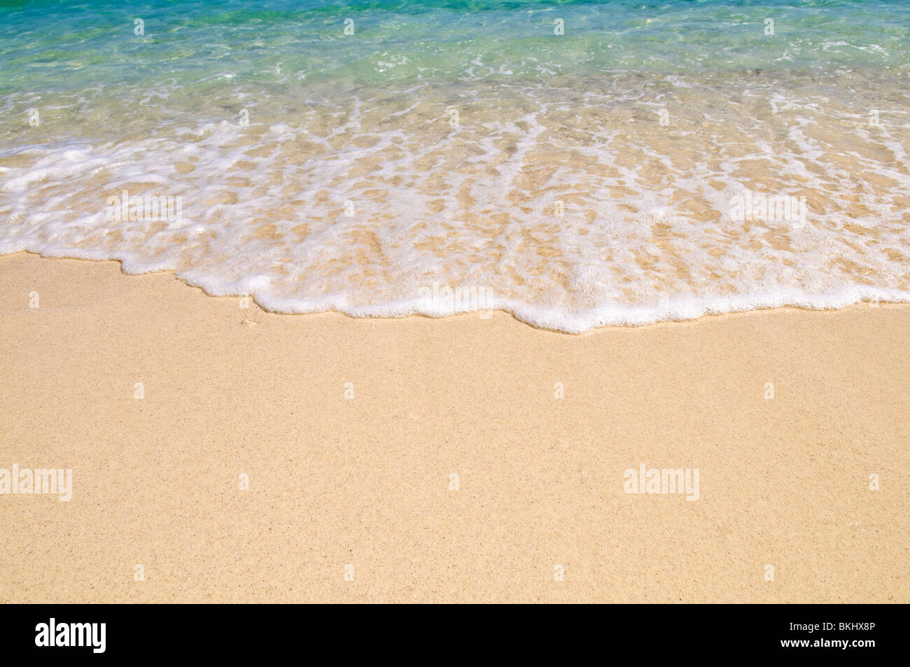 Un'onda rompe sulla sabbia Foto Stock