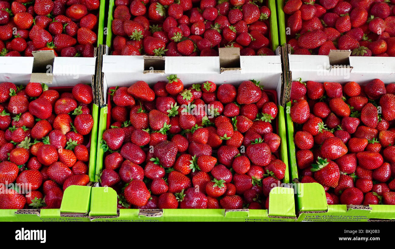 Fragole fresche sul display nel mercato agricolo. Foto Stock