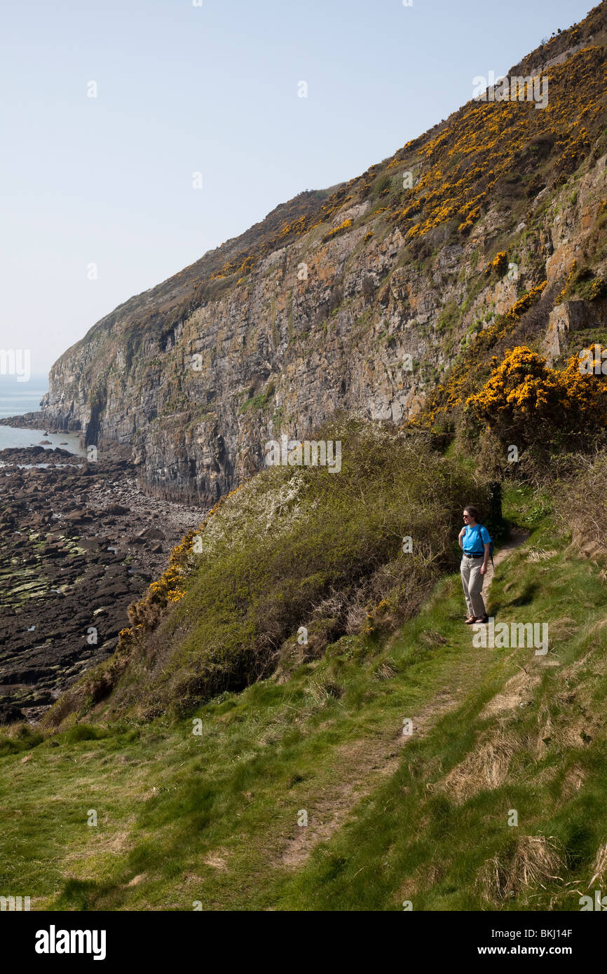 Donna che cammina sulla baia di Carmarthen sentiero costiero Pendine Wales UK Foto Stock