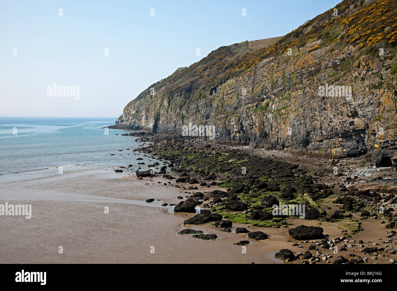Bay e scogliere sulla costa Carmarthenshire Pendine percorso Wales UK Foto Stock