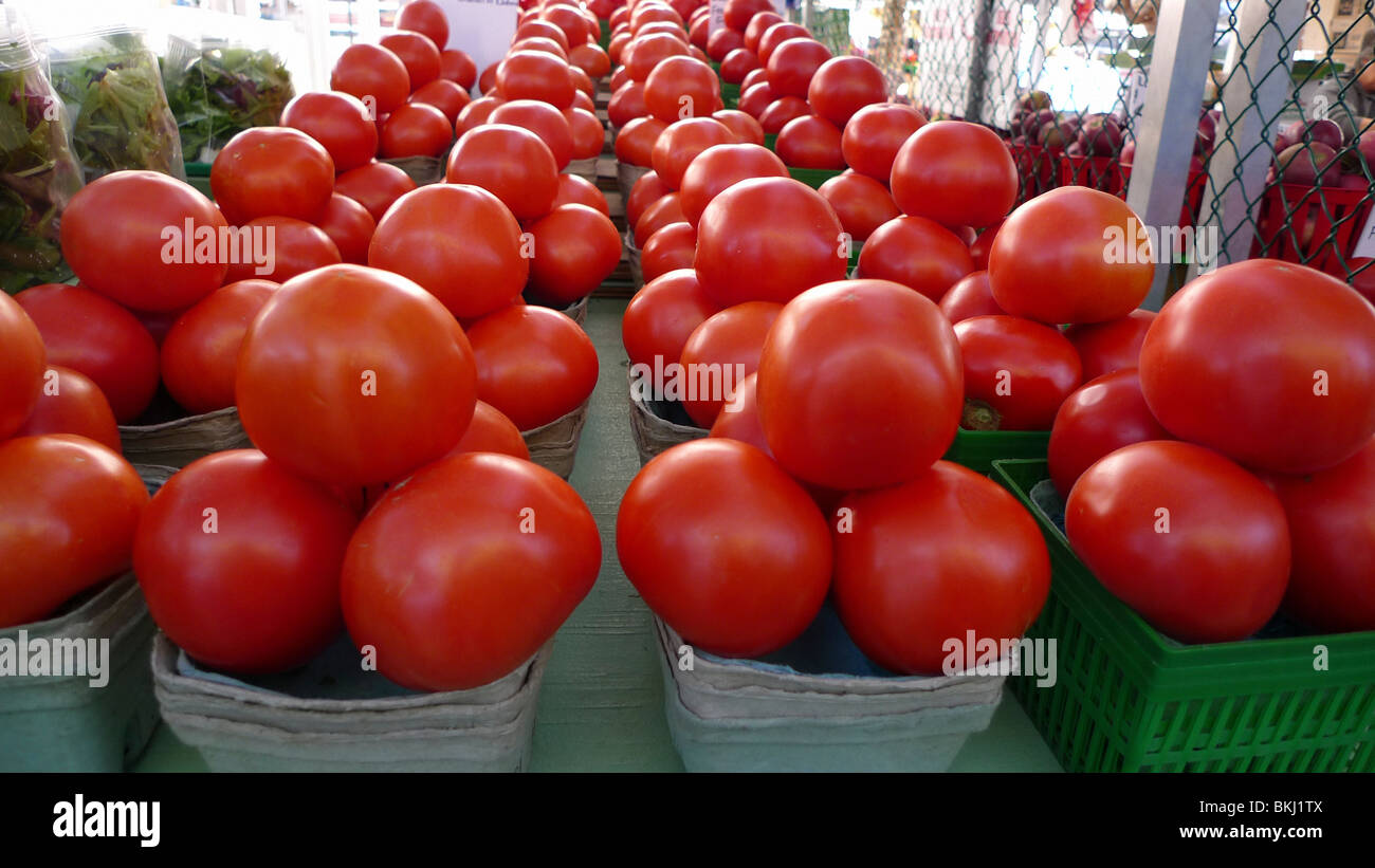 Appena raccolto di pomodori organico sul display nel mercato degli agricoltori. Foto Stock