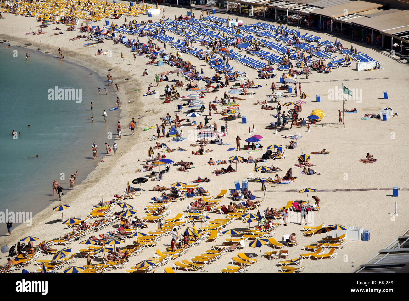 Playa de los Amadores Beach, Gran Canaria Foto Stock