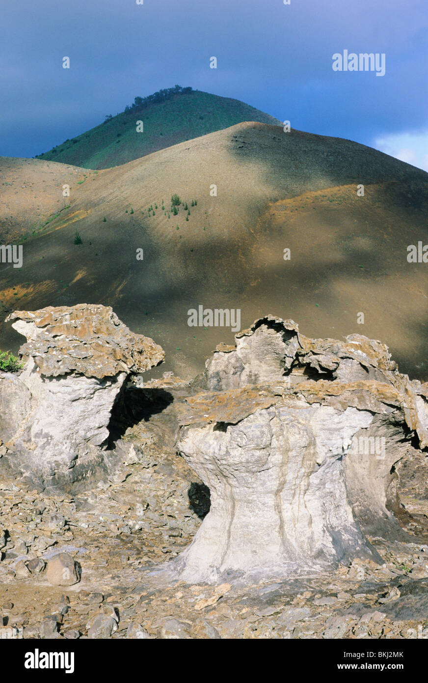 Isola di Ascensione, trachite eroso pilastri o 'mushrooms', Devil's scuola di equitazione, forme fantasiose scolpite dal vento e meteo. Foto Stock