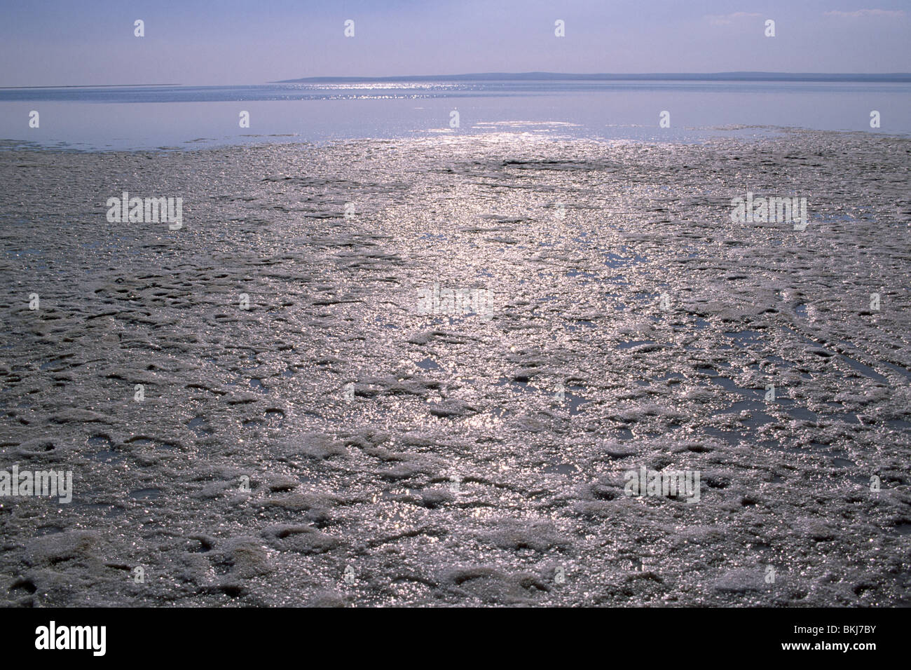 Lago salato TUZ, Turchia Foto Stock