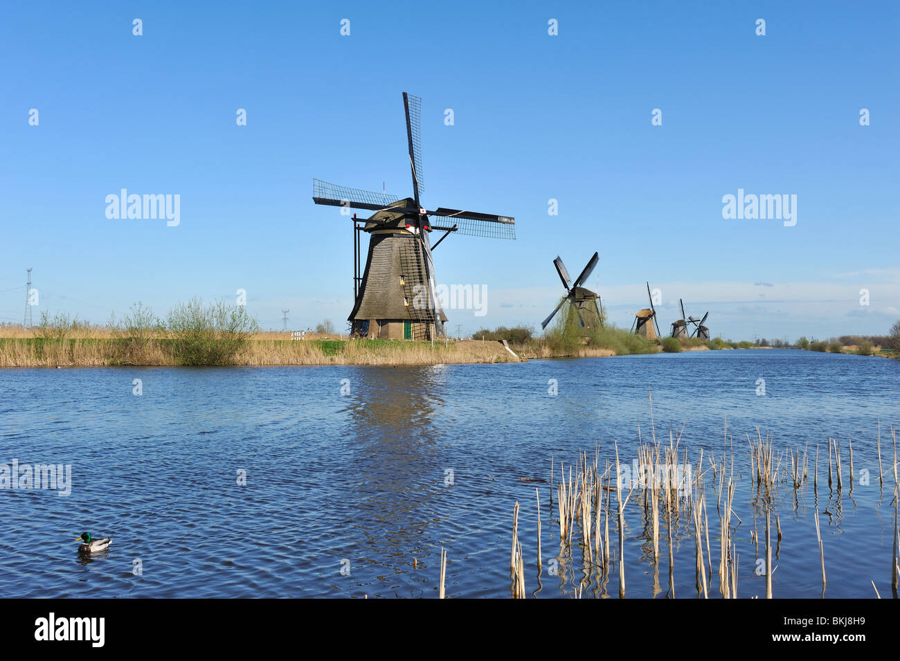 Paesaggio di mulino a vento a Kinderdijk vicino a Rotterdam Paesi Bassi Foto Stock