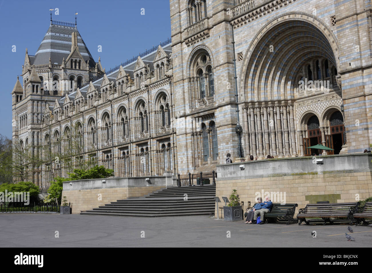 La grande entrata principale per il capolavoro in stile vittoriano del Museo di Storia Naturale di South Kensington, Londra, Inghilterra. Foto Stock