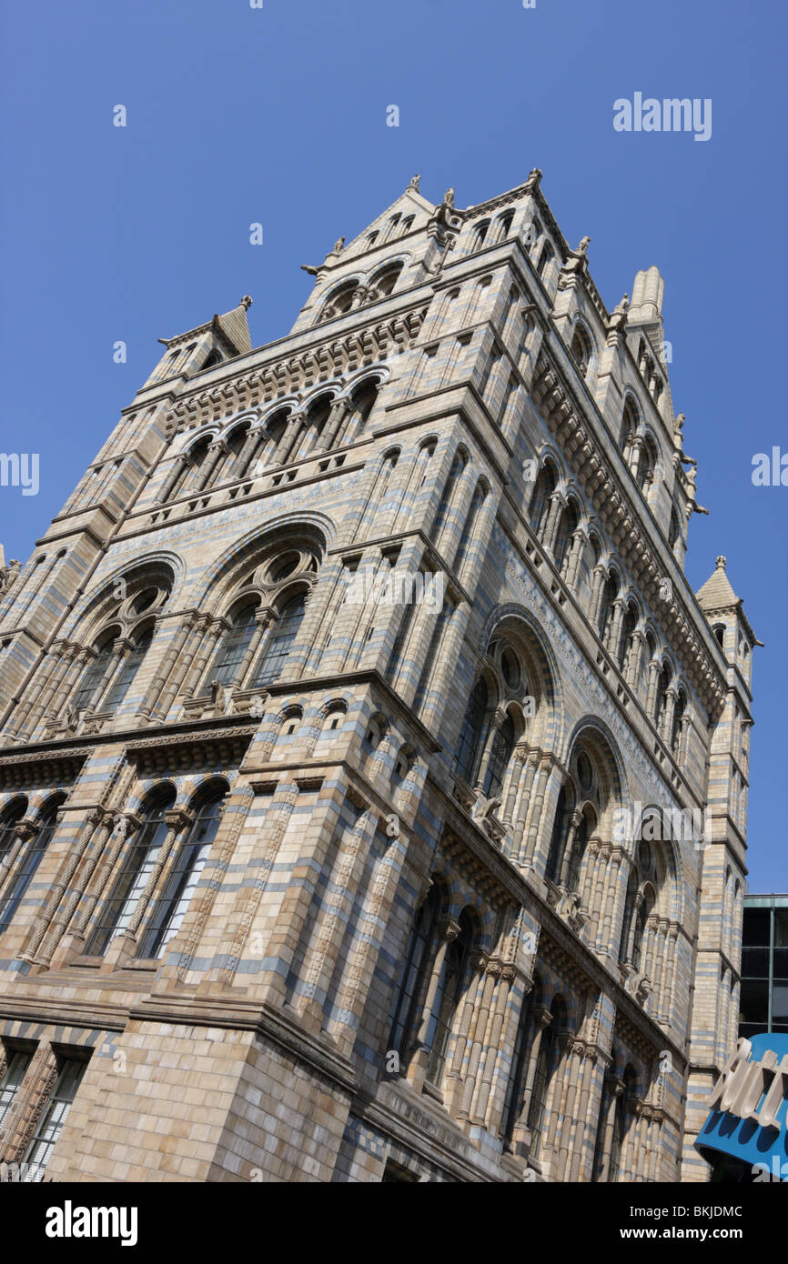 Torre Est del Museo di Storia Naturale di South Kensington a Londra. Foto Stock