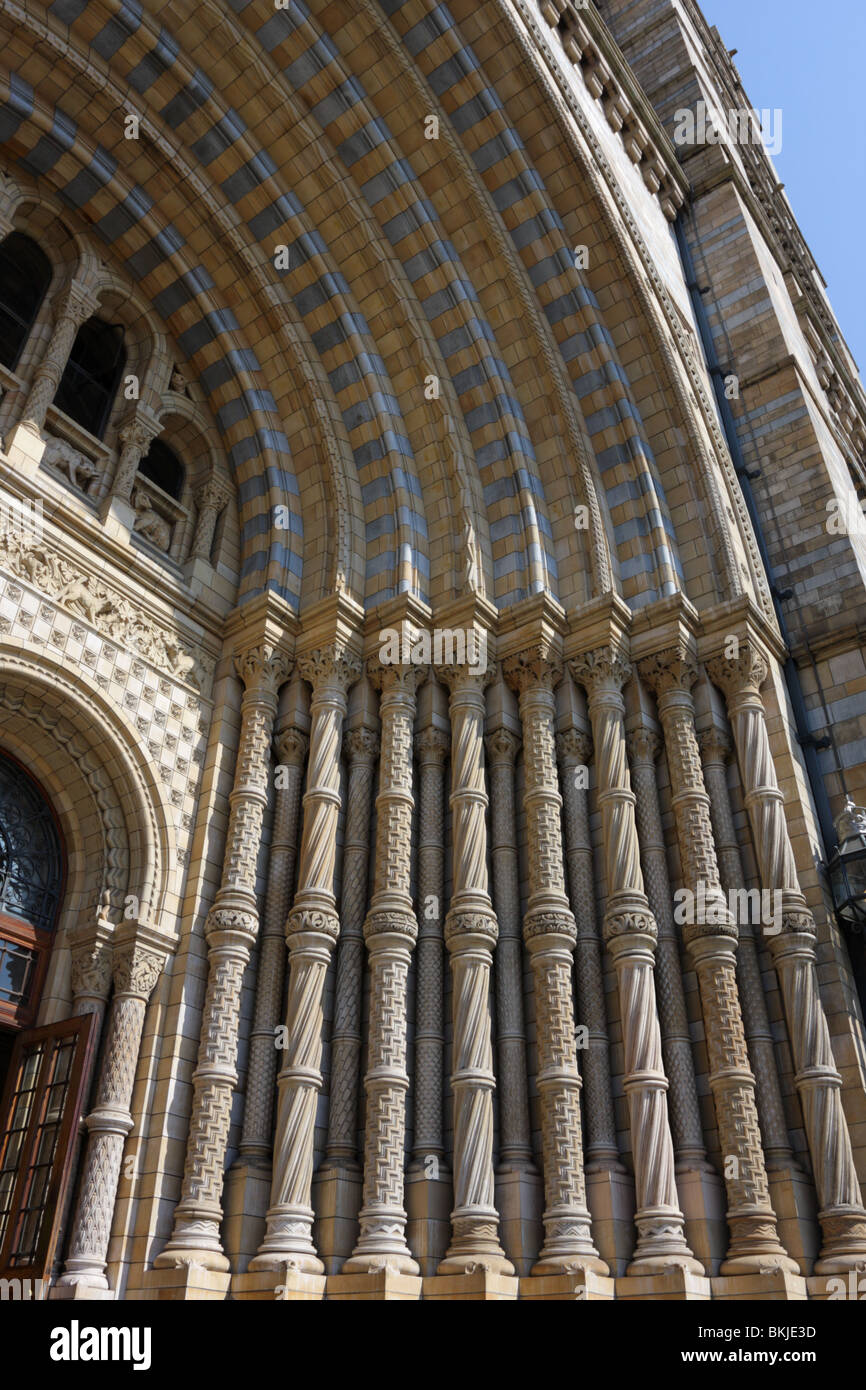 Piastrellate archway e lesene all'ingresso principale del Museo di Storia Naturale di South Kensington, Londra. Foto Stock